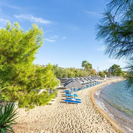 Apartahotel Paradisos Holiday Paradisos