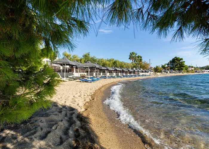 Paradisos Holiday Aparthotel Paradisos